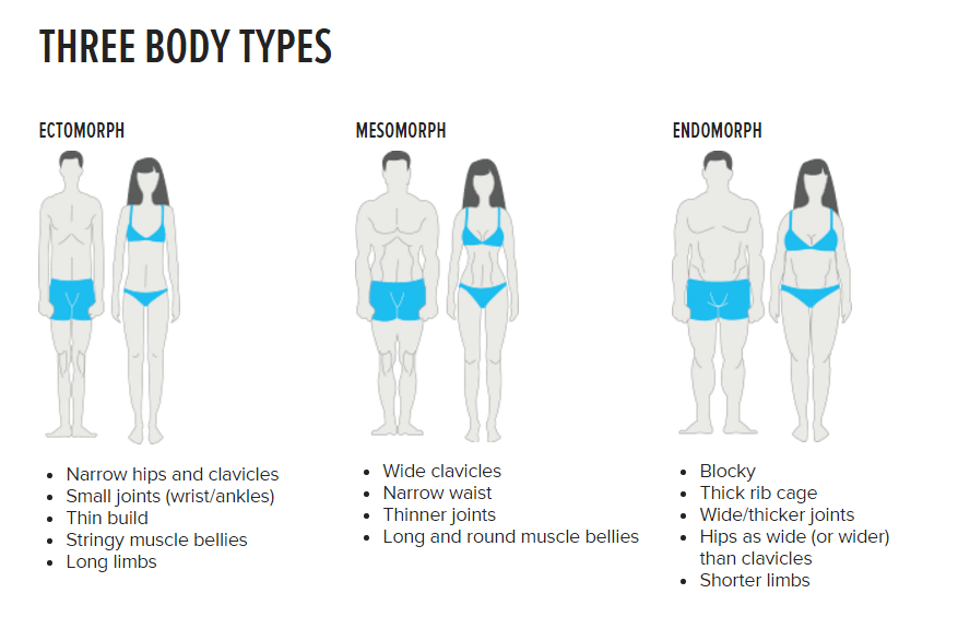 What Is Your Body Type Fitness And Nutrition Tips Vittobox 